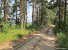 Дорога над озером из Сямозера в Кяргялу.
