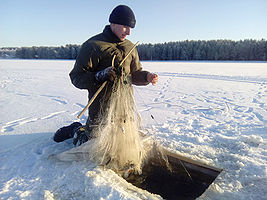 highslide=1:Зимняя рыбалка на Сямозере. Фото П. Пашук, 2015.