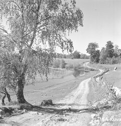 Прибрежная дорога. Чуйнаволок, 1942. © SA-kuva-arkisto.