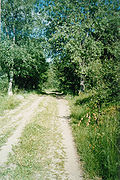 highslide=1:Дорога из Кяргялы в Ахпойлу. 1996. © Валентина Лутто